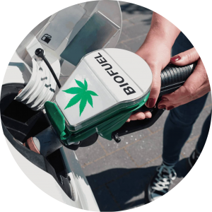 hemp biodiesel 4-modified